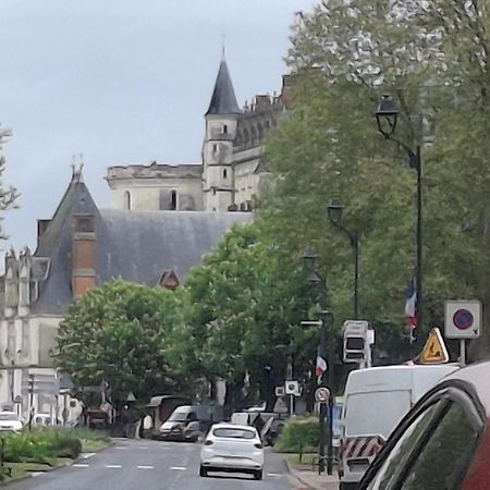Escale Au Pied Du Chateau Amboise Luaran gambar