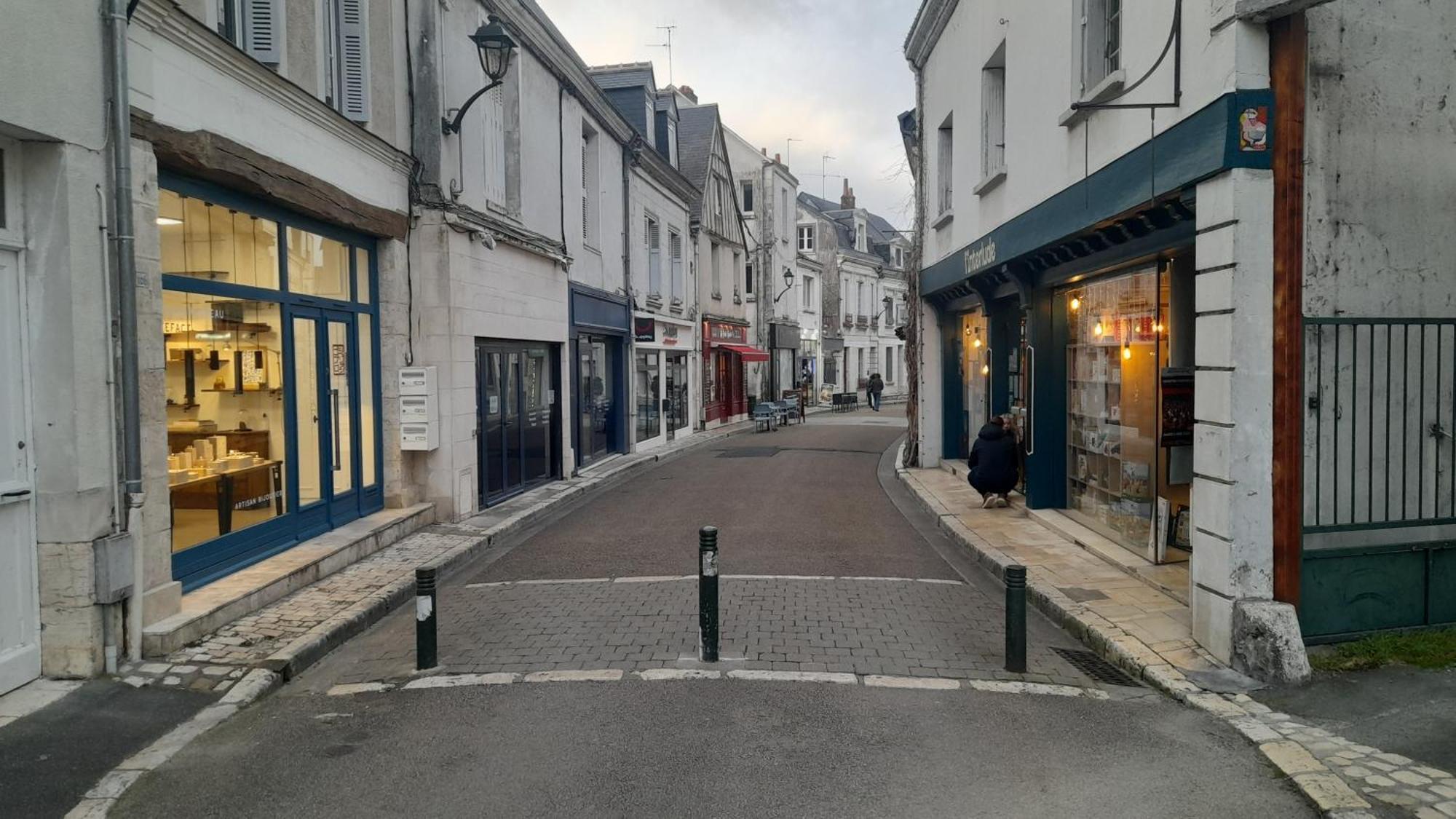 Escale Au Pied Du Chateau Amboise Luaran gambar