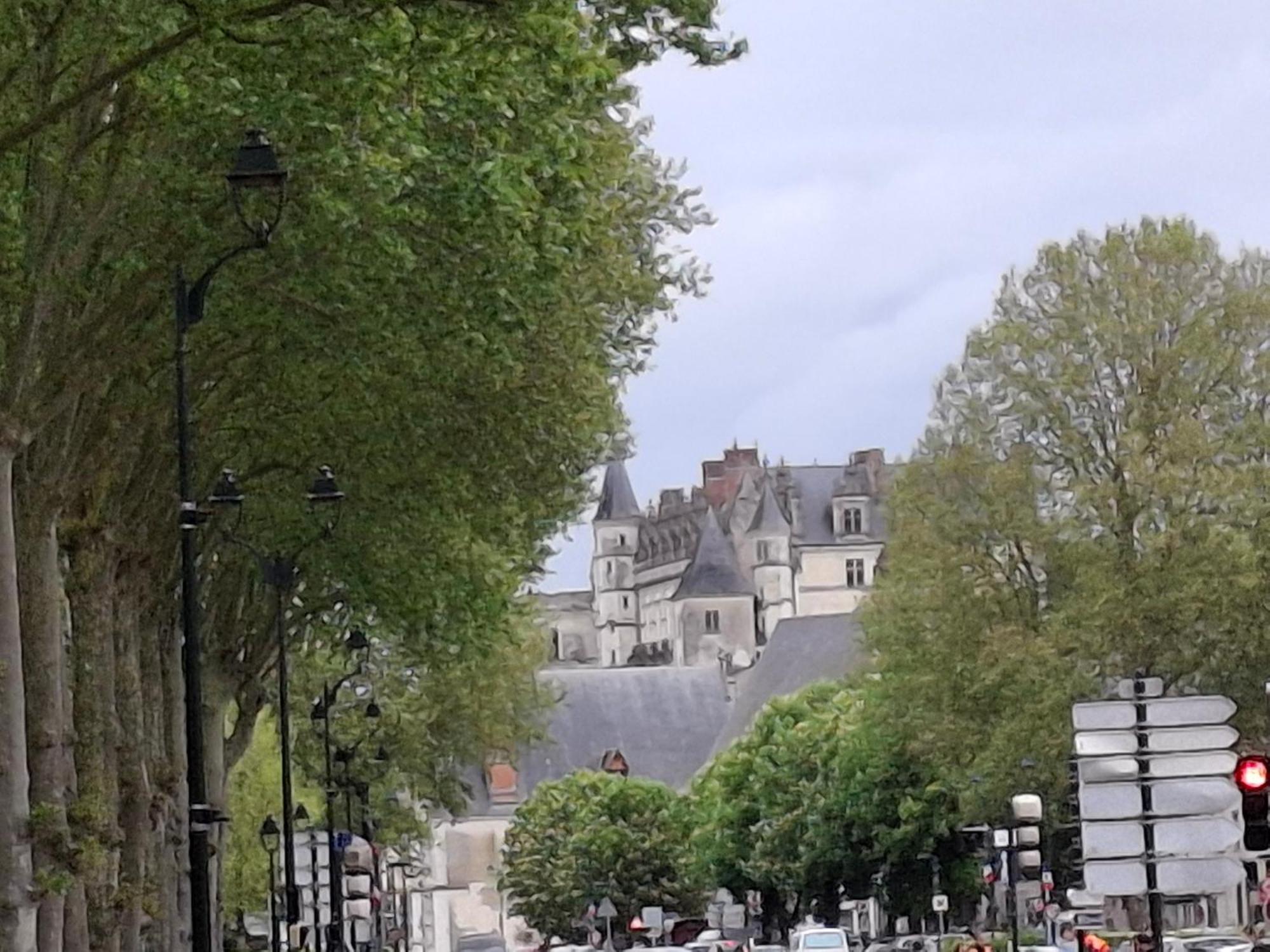 Escale Au Pied Du Chateau Amboise Luaran gambar