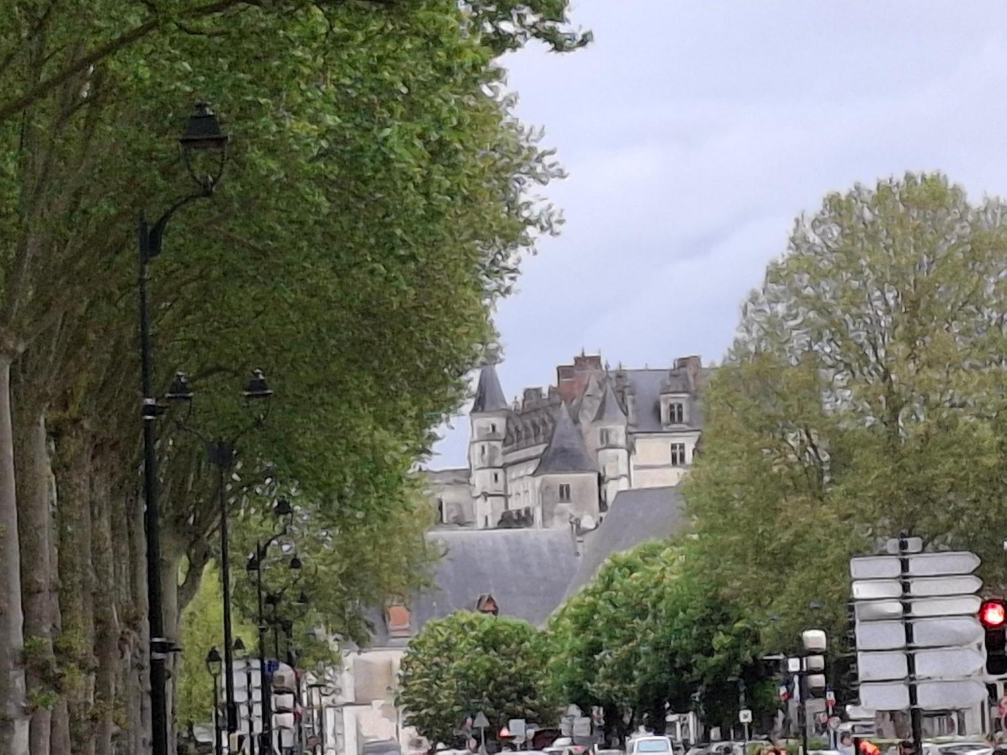 Escale Au Pied Du Chateau Apartment Amboise Luaran gambar